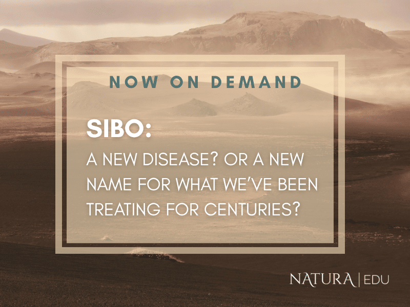 Webinar: SIBO: Rediscovering the Gut Ecology — A New Disease or a New Name for What We’ve Treated for Centuries